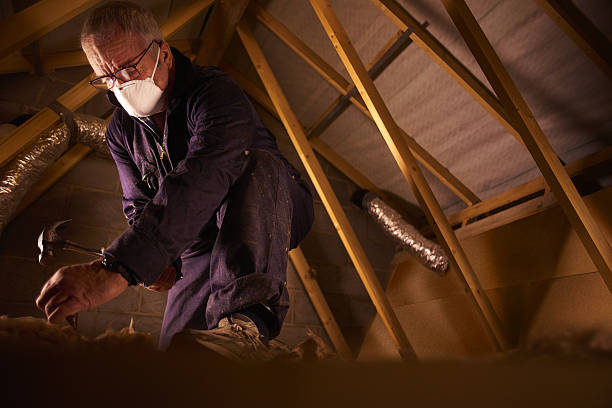 Best Cellulose Insulation in Seaside, CA